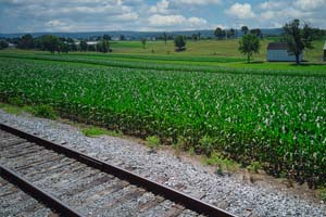 A rail line passes a corn field in Nebraska A rail line passes a corn field in Nebraska